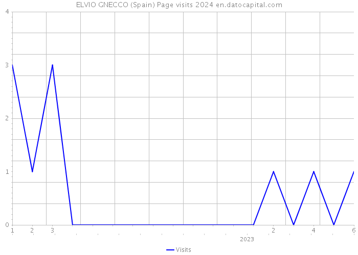 ELVIO GNECCO (Spain) Page visits 2024 
