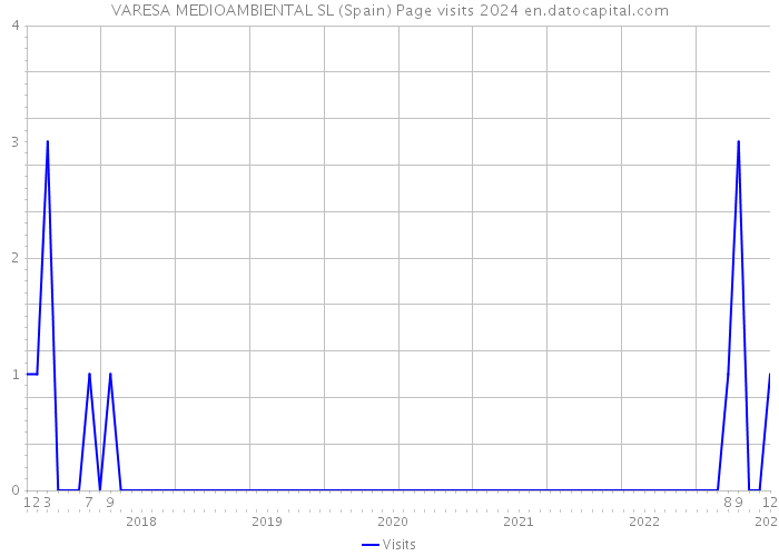 VARESA MEDIOAMBIENTAL SL (Spain) Page visits 2024 