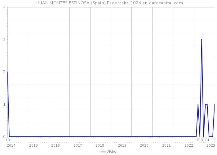 JULIAN MONTES ESPINOSA (Spain) Page visits 2024 