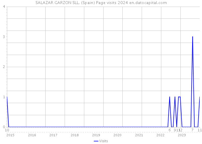SALAZAR GARZON SLL. (Spain) Page visits 2024 