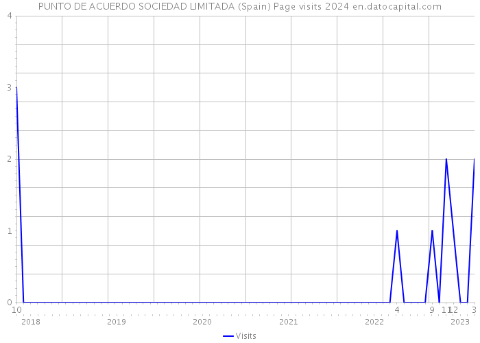 PUNTO DE ACUERDO SOCIEDAD LIMITADA (Spain) Page visits 2024 