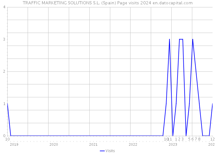 TRAFFIC MARKETING SOLUTIONS S.L. (Spain) Page visits 2024 