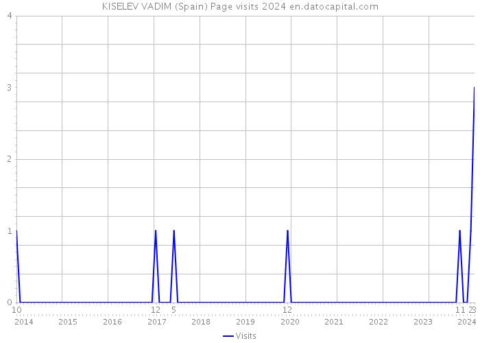 KISELEV VADIM (Spain) Page visits 2024 