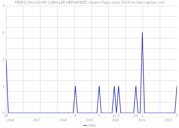 PEDRO SALVADOR CABALLER HERNANDEZ (Spain) Page visits 2024 