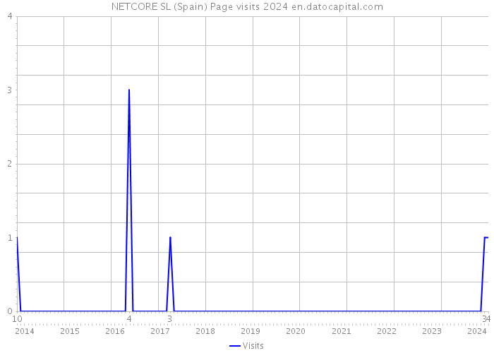 NETCORE SL (Spain) Page visits 2024 