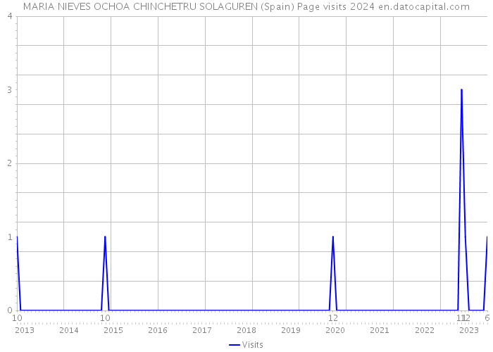 MARIA NIEVES OCHOA CHINCHETRU SOLAGUREN (Spain) Page visits 2024 