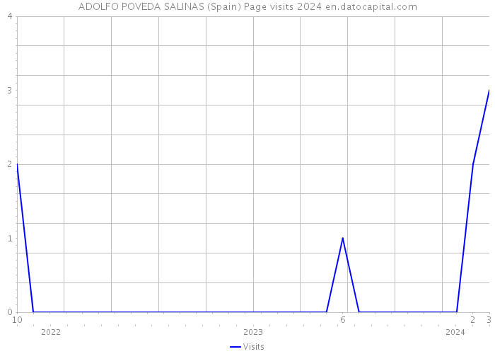 ADOLFO POVEDA SALINAS (Spain) Page visits 2024 