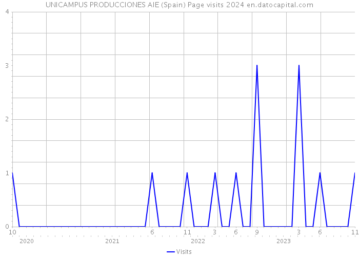 UNICAMPUS PRODUCCIONES AIE (Spain) Page visits 2024 