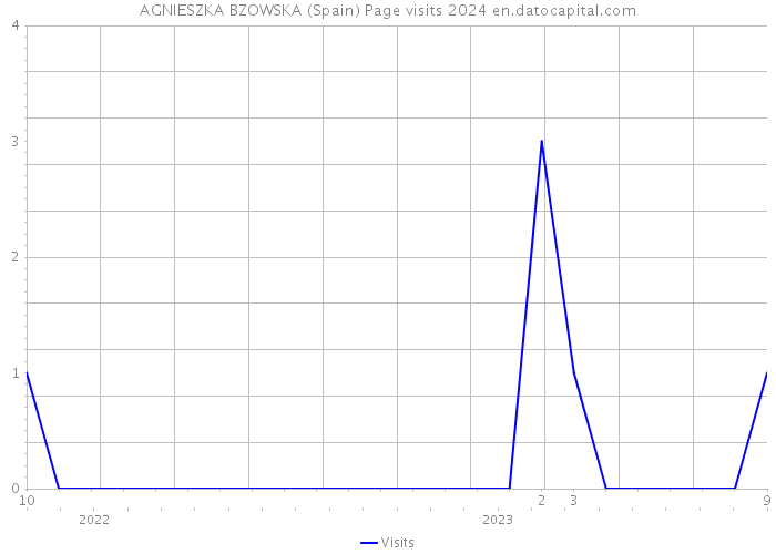 AGNIESZKA BZOWSKA (Spain) Page visits 2024 