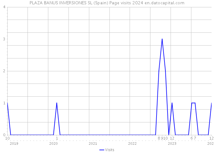 PLAZA BANUS INVERSIONES SL (Spain) Page visits 2024 