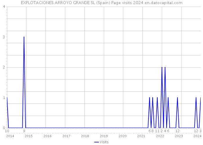 EXPLOTACIONES ARROYO GRANDE SL (Spain) Page visits 2024 