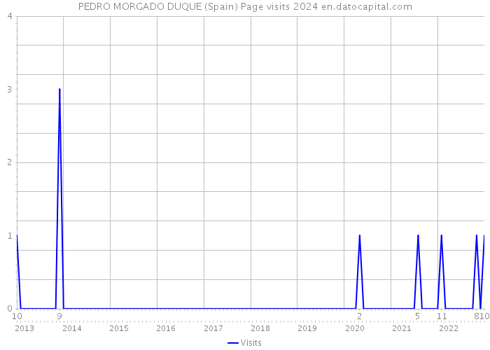 PEDRO MORGADO DUQUE (Spain) Page visits 2024 