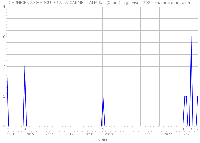 CARNICERIA CHARCUTERIA LA CARMELITANA S.L. (Spain) Page visits 2024 