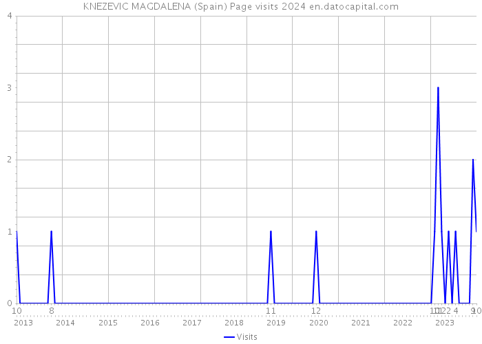 KNEZEVIC MAGDALENA (Spain) Page visits 2024 