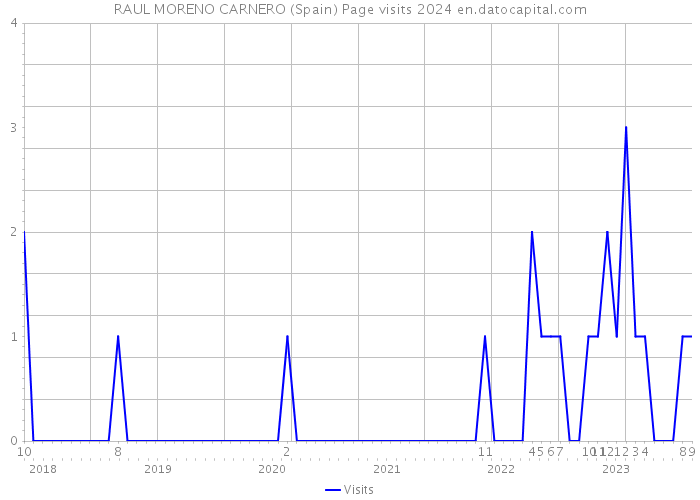 RAUL MORENO CARNERO (Spain) Page visits 2024 