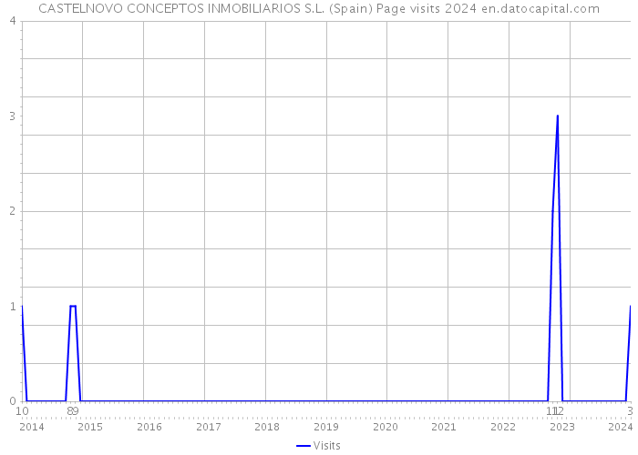 CASTELNOVO CONCEPTOS INMOBILIARIOS S.L. (Spain) Page visits 2024 