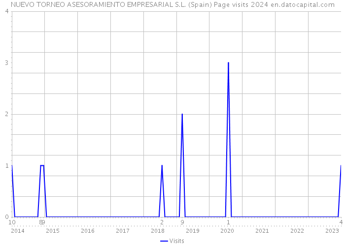 NUEVO TORNEO ASESORAMIENTO EMPRESARIAL S.L. (Spain) Page visits 2024 