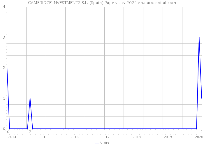 CAMBRIDGE INVESTMENTS S.L. (Spain) Page visits 2024 