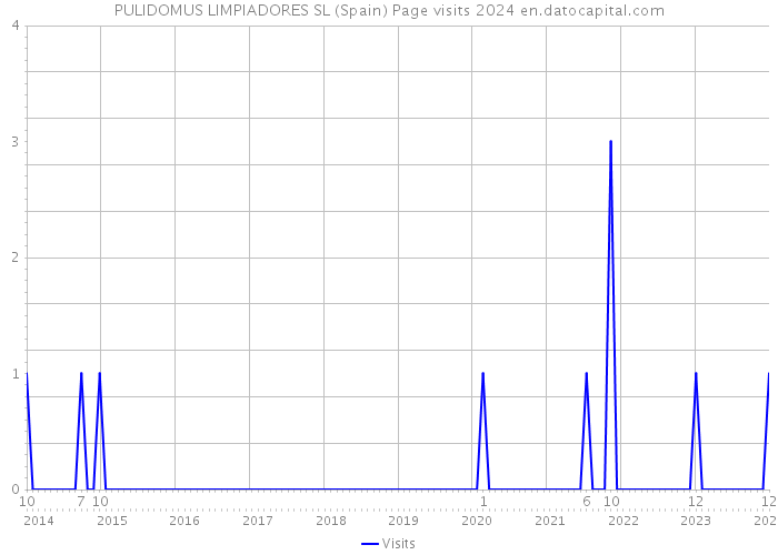PULIDOMUS LIMPIADORES SL (Spain) Page visits 2024 