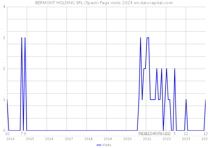 BERMONT HOLDING SRL (Spain) Page visits 2024 