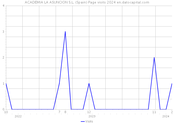 ACADEMIA LA ASUNCION S.L. (Spain) Page visits 2024 