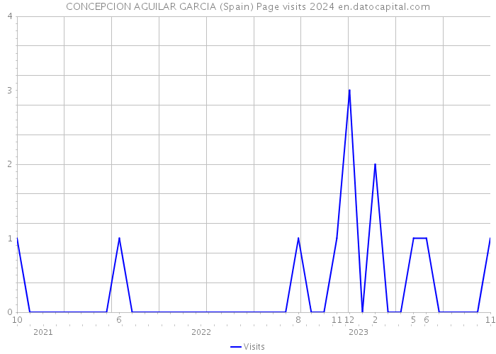 CONCEPCION AGUILAR GARCIA (Spain) Page visits 2024 