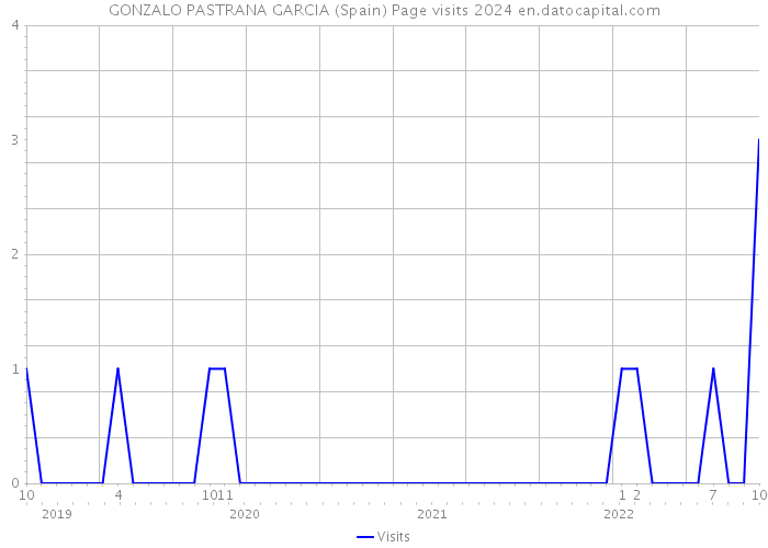 GONZALO PASTRANA GARCIA (Spain) Page visits 2024 