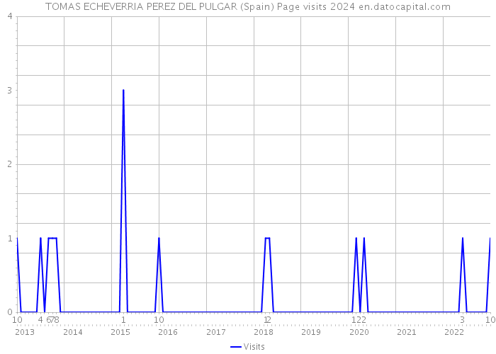TOMAS ECHEVERRIA PEREZ DEL PULGAR (Spain) Page visits 2024 