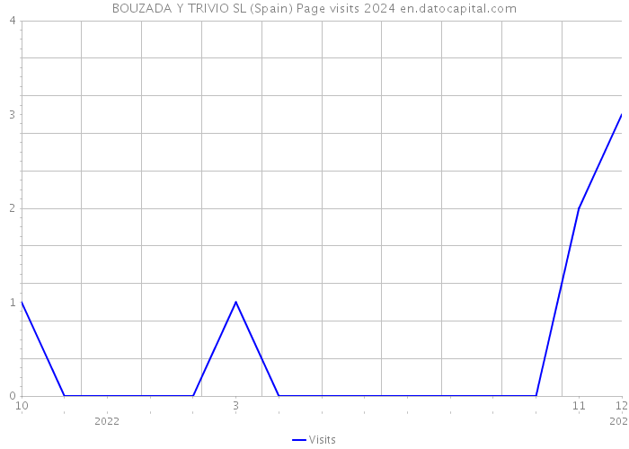 BOUZADA Y TRIVIO SL (Spain) Page visits 2024 
