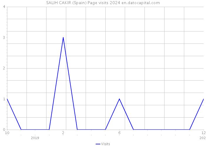 SALIH CAKIR (Spain) Page visits 2024 