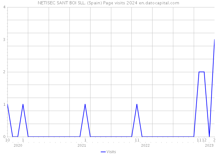 NETISEC SANT BOI SLL. (Spain) Page visits 2024 
