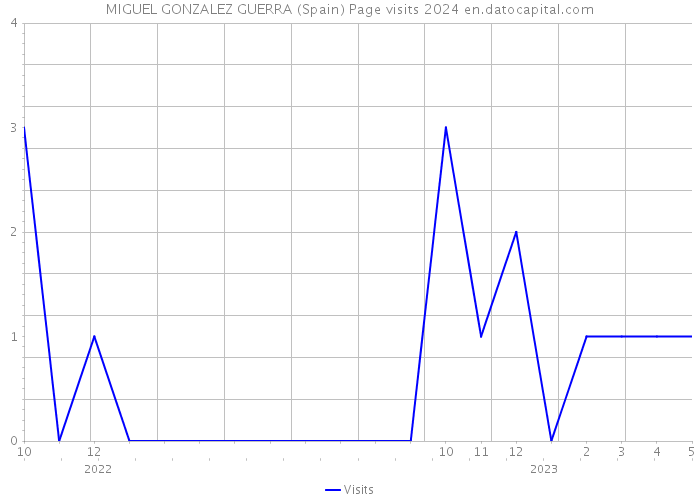 MIGUEL GONZALEZ GUERRA (Spain) Page visits 2024 