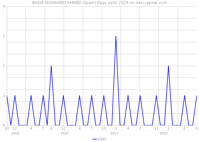 BADIR MOHAMED AHMED (Spain) Page visits 2024 