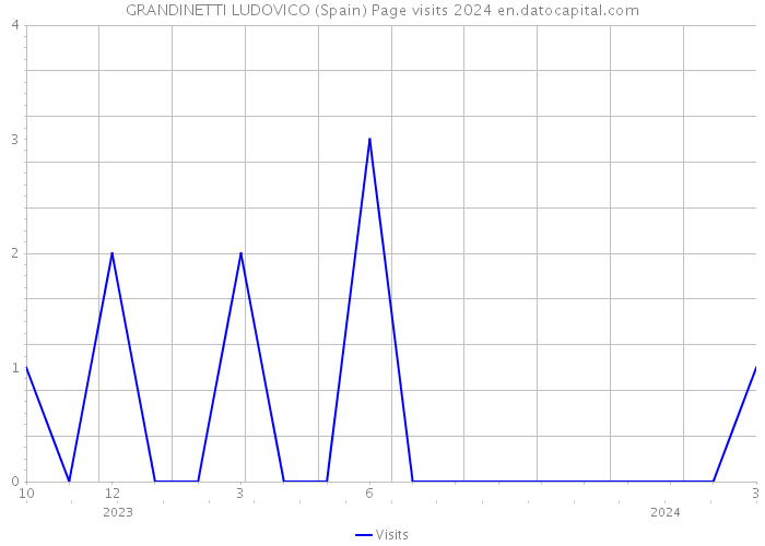 GRANDINETTI LUDOVICO (Spain) Page visits 2024 