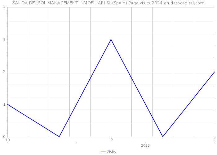 SALIDA DEL SOL MANAGEMENT INMOBILIARI SL (Spain) Page visits 2024 