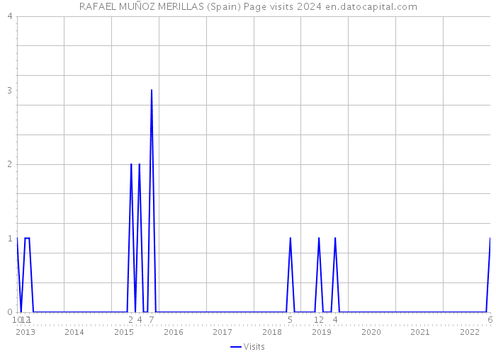 RAFAEL MUÑOZ MERILLAS (Spain) Page visits 2024 