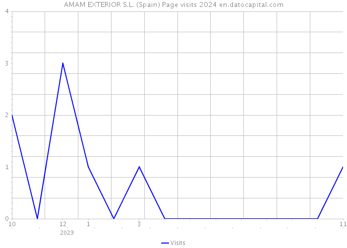 AMAM EXTERIOR S.L. (Spain) Page visits 2024 