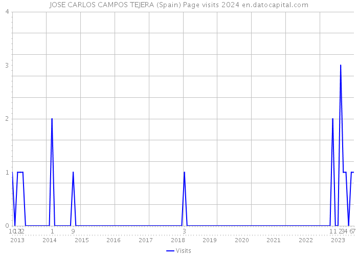 JOSE CARLOS CAMPOS TEJERA (Spain) Page visits 2024 