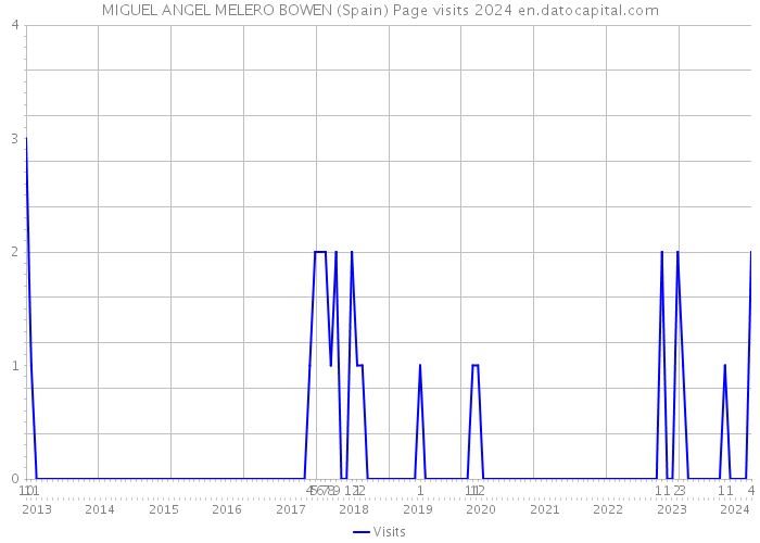 MIGUEL ANGEL MELERO BOWEN (Spain) Page visits 2024 