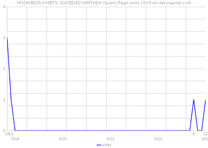 HOZANEJOS ASSETS, SOCIEDAD LIMITADA (Spain) Page visits 2024 
