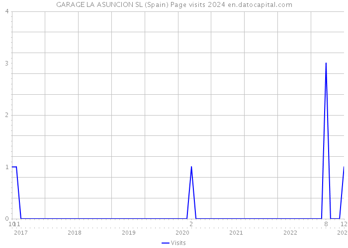 GARAGE LA ASUNCION SL (Spain) Page visits 2024 