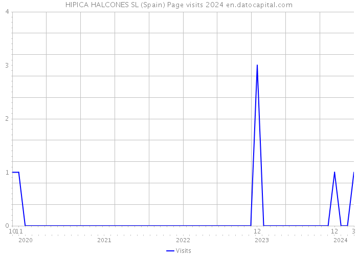 HIPICA HALCONES SL (Spain) Page visits 2024 
