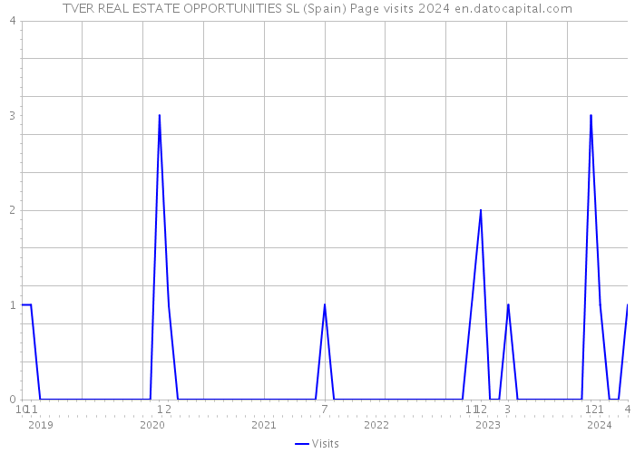 TVER REAL ESTATE OPPORTUNITIES SL (Spain) Page visits 2024 