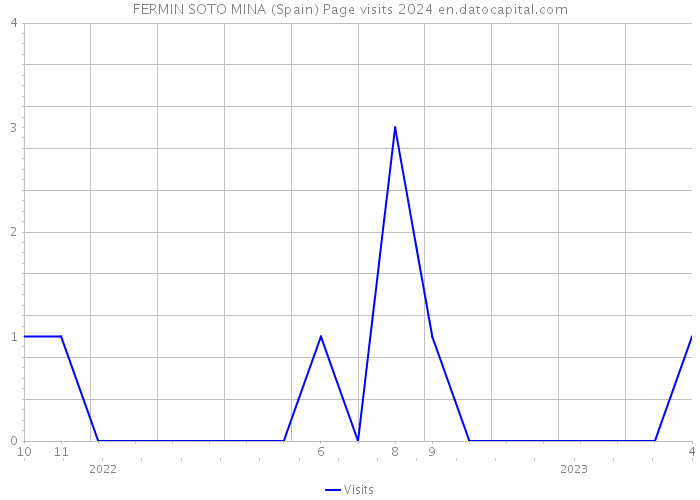 FERMIN SOTO MINA (Spain) Page visits 2024 