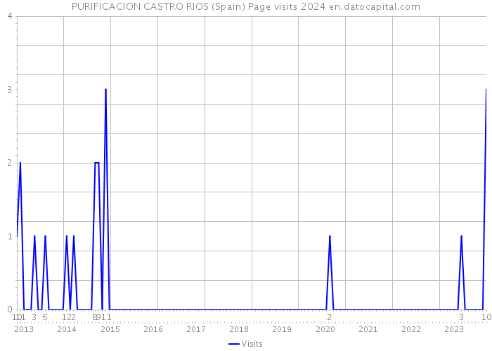 PURIFICACION CASTRO RIOS (Spain) Page visits 2024 