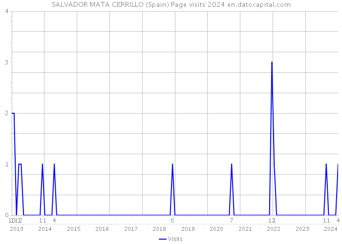SALVADOR MATA CERRILLO (Spain) Page visits 2024 