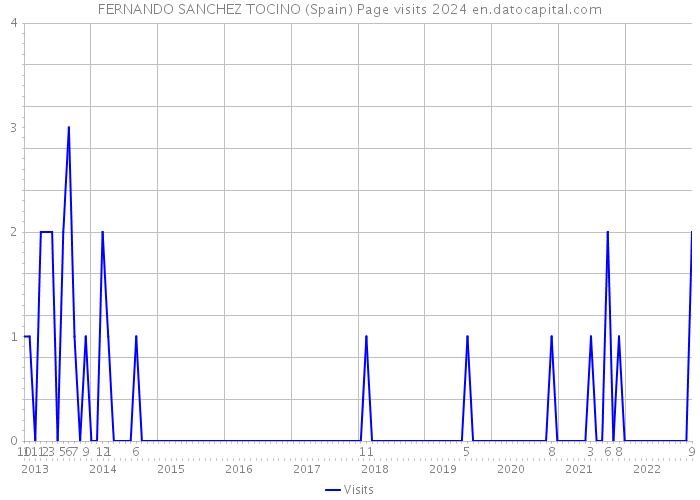 FERNANDO SANCHEZ TOCINO (Spain) Page visits 2024 