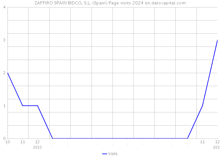 ZAFFIRO SPAIN BIDCO, S.L. (Spain) Page visits 2024 