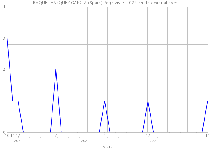 RAQUEL VAZQUEZ GARCIA (Spain) Page visits 2024 