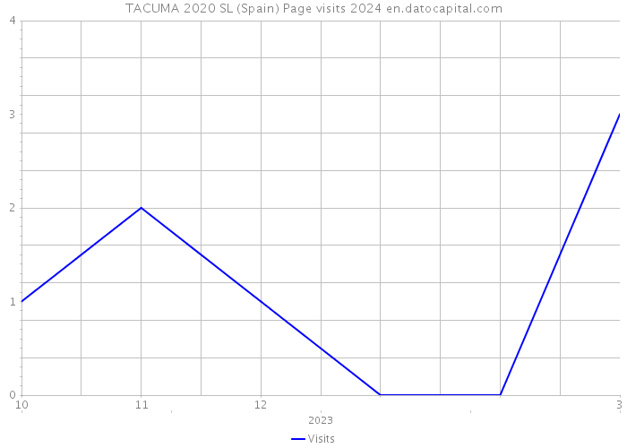 TACUMA 2020 SL (Spain) Page visits 2024 